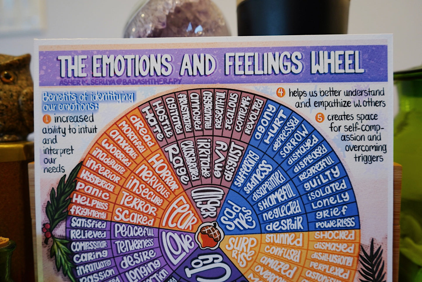 The Emotions and Feelings Wheel - Illustrated Infographic
