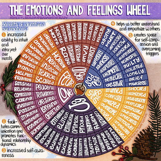 The Emotions & Feelings Wheel